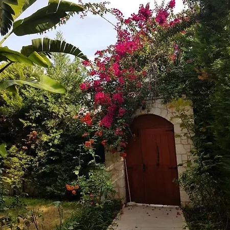 5br, With Private Pool فيلة غوجيك